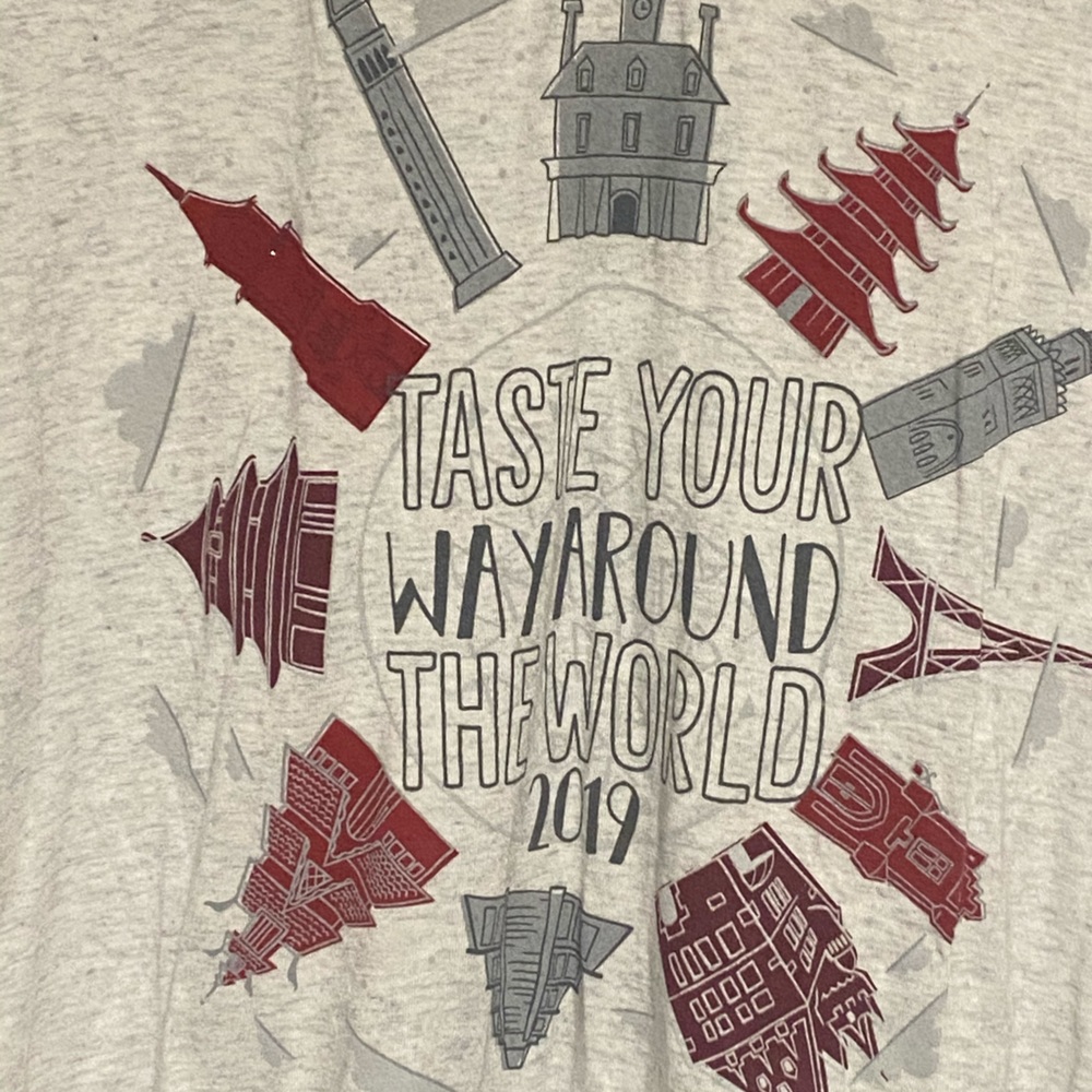 Disney Epcot food and wine lightweight hoodie 2019